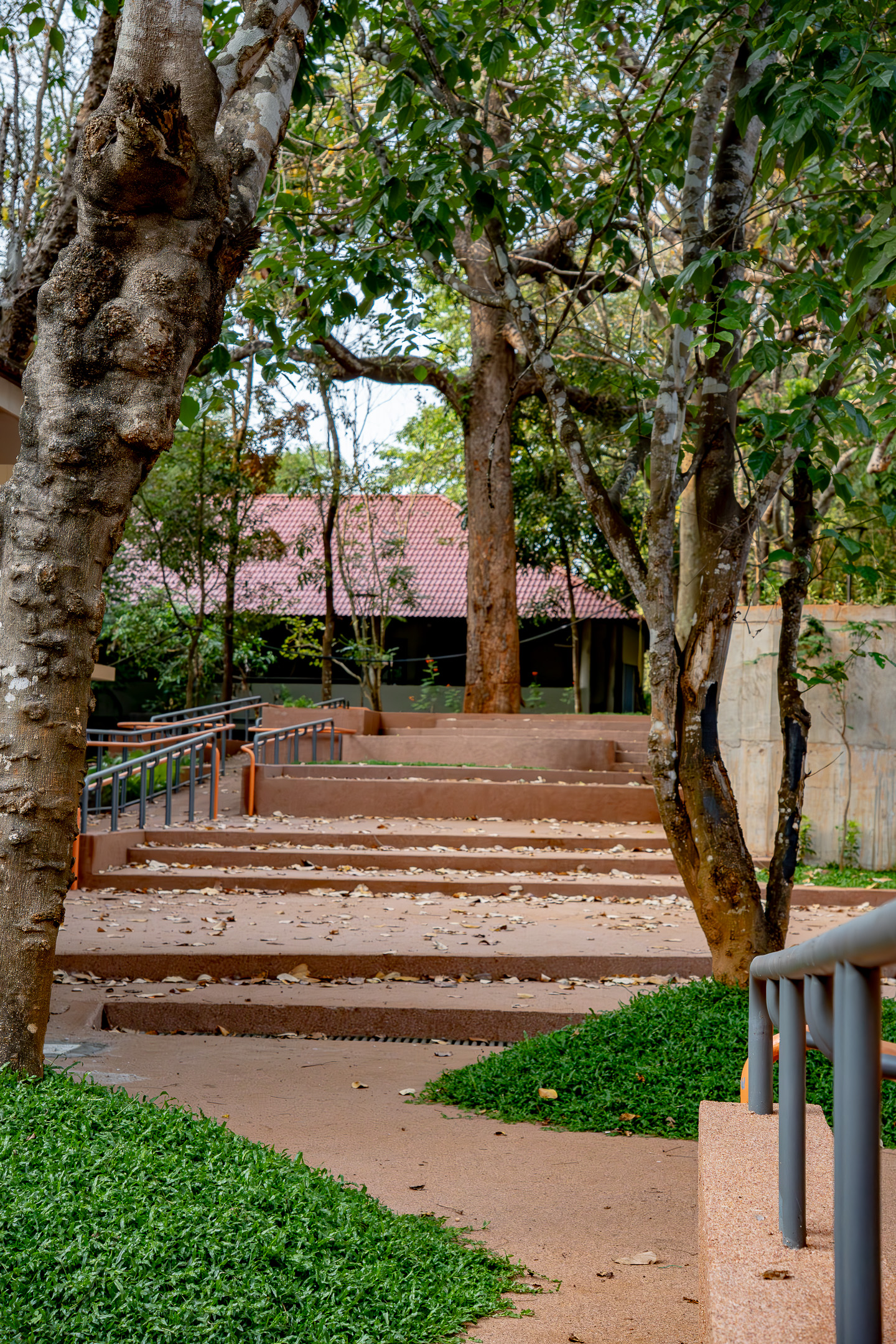 Institute of Palliative Medicine - 2
